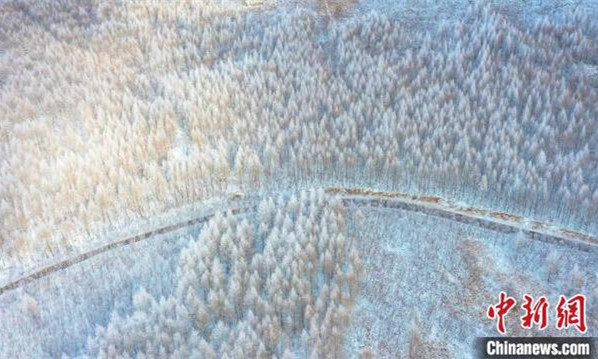 图为内蒙古兴安盟的冬日雪景